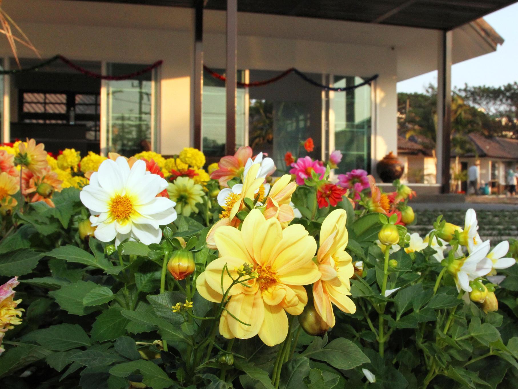 Chiangrai Green Park Resort Чианг Рай Екстериор снимка